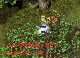 传奇私服页版哪个职业组合刷BOSS效率最高? 传奇私服页版哪个职业组合刷BOSS效率最高?