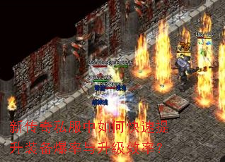 新传奇私服中如何快速提升装备爆率与升级效率? 新传奇私服中如何快速提升装备爆率与升级效率?