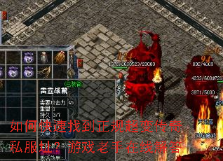 如何快速找到正规超变传奇私服址?游戏老手在线解答 如何快速找到正规超变传奇私服址?游戏老手在线解答