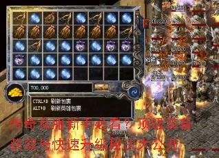 传奇私服新手必看?顶级装备获取与快速升级秘诀大公开 传奇私服新手必看?顶级装备获取与快速升级秘诀大公开