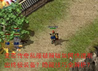 变态传奇私服破解版如何快速刷出终极装备?隐藏技巧全解析? 变态传奇私服破解版如何快速刷出终极装备?隐藏技巧全解析?