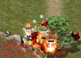 传奇私服哪个版本最耐玩?职业选择与升级技巧全攻略 传奇私服哪个版本最耐玩?职业选择与升级技巧全攻略