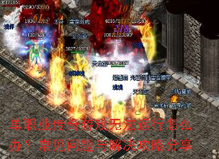 ��ְҵ������Ϸ�޷�������ô�죿���������������Է���