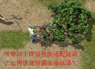 传奇战士终极技能搭配秘籍,如何快速制霸全服战场? 传奇战士终极技能搭配秘籍,如何快速制霸全服战场?