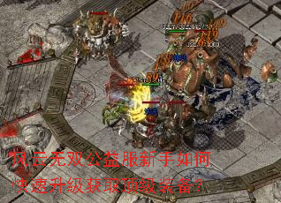 风云无双公益服新手如何快速升级获取顶级装备? 风云无双公益服新手如何快速升级获取顶级装备?