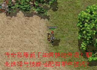 传奇私服新手如何快速升级?职业选择与技能搭配有哪些技巧? 传奇私服新手如何快速升级?职业选择与技能搭配有哪些技巧?