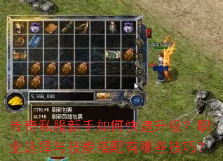传奇私服新手如何快速升级?职业选择与技能搭配有哪些技巧? 传奇私服新手如何快速升级?职业选择与技能搭配有哪些技巧?