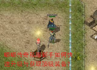 嘟嘟传奇私服新手如何快速升级与获取顶级装备? 嘟嘟传奇私服新手如何快速升级与获取顶级装备?