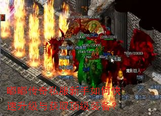 嘟嘟传奇私服新手如何快速升级与获取顶级装备? 嘟嘟传奇私服新手如何快速升级与获取顶级装备?