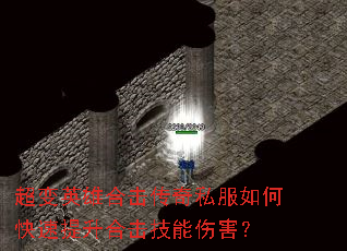 ����Ӣ�ۺϻ�����˽����ο��������ϻ������˺���