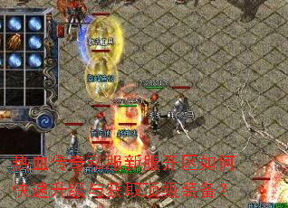 热血传奇私服新服开区如何快速升级与获取顶级装备? 热血传奇私服新服开区如何快速升级与获取顶级装备?