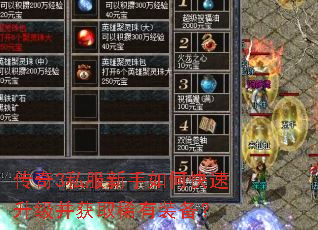传奇3私服新手如何快速升级并获取稀有装备? 传奇3私服新手如何快速升级并获取稀有装备?