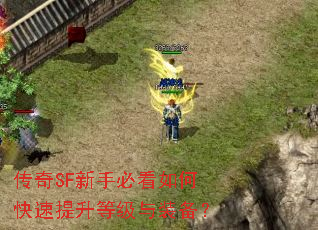 ����SF���ֱؿ���ο��������ȼ���װ����