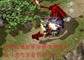 传奇私服新手如何快速提升战斗力与装备获取技巧? 传奇私服新手如何快速提升战斗力与装备获取技巧?