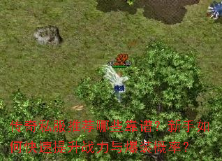 ����˽���Ƽ���Щ���ף�������ο�������ս���뱬װ���ʣ�