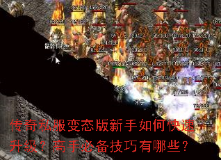 ����˽����̬��������ο������������ֱر���������Щ��