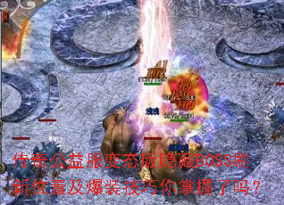 ���湫�����̬������BOSSˢ��λ�ü���װ��������������