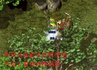 ����˽��������ο�����������ǿ���Խ���