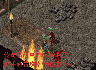 传奇私服真的能赚钱吗?新手必看攻略与避坑指南 传奇私服真的能赚钱吗?新手必看攻略与避坑指南