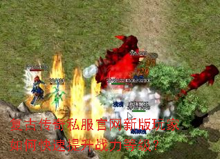 ���Ŵ���˽�������°������ο�������ս���ȼ���