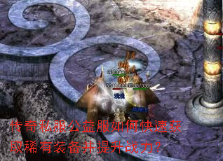 ����˽���������ο��ٻ�ȡϡ��װ��������ս����