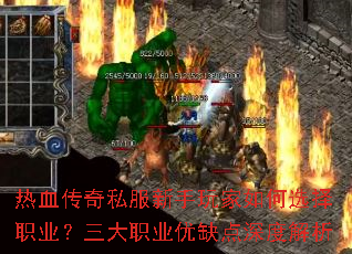 ��Ѫ����˽������������ѡ��ְҵ������ְҵ��ȱ����Ƚ���