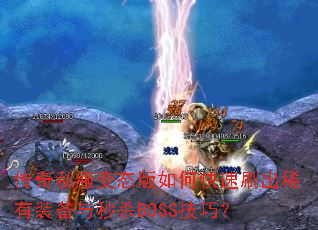 ����˽����̬����ο���ˢ��ϡ��װ������ɱBOSS���ɣ�