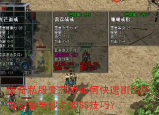 ����˽����̬����ο���ˢ��ϡ��װ������ɱBOSS���ɣ�