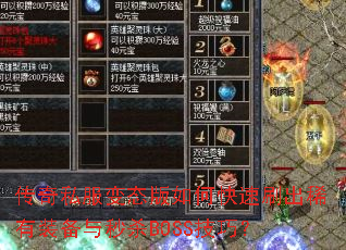 ����˽����̬����ο���ˢ��ϡ��װ������ɱBOSS���ɣ�