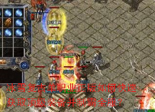 ��ѩ���ŵ�ְҵ������ο��ٻ�ȡ����װ�����ư�ȫ����