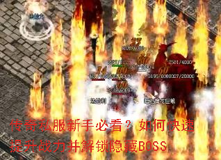 ����˽�����ֱؿ�����ο�������ս������������BOSS