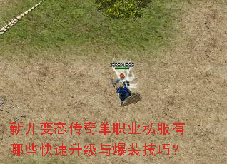 �¿���̬���浥ְҵ˽������Щ���������뱬װ���ɣ�