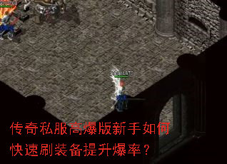 ����˽���߱���������ο���ˢװ���������ʣ�