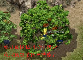 �¿���;˽����ο��ٻ�ȡ����װ���뼼�ܣ�