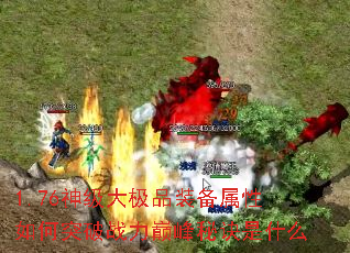 1.76�񼶴�Ʒװ���������ͻ��ս���۷��ؾ���ʲô