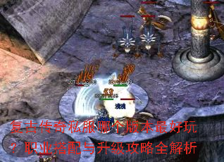 ���Ŵ���˽���ĸ��汾����棿ְҵ��������������ȫ����