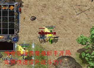 ����˽����ͷ����ֿ�����ο�������ս������