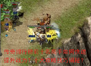 �������а�ǰʮ��������ο�������ս����ʮ���Լ��ɽ��أ�