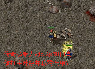 ����˽����������θ�Ч���������ư�ȫ����