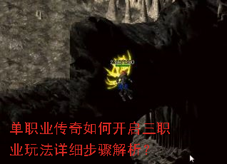 ��ְҵ������ο�����ְҵ�淨��ϸ���������