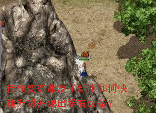 �����̬������������ο�������������ϡ��װ����