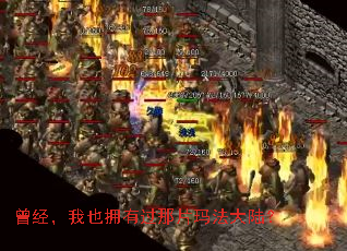 ��������Ҳӵ�й���Ƭ�귨��½��