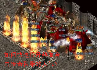 ��ο���������Ѫ�ϻ�����˽����������