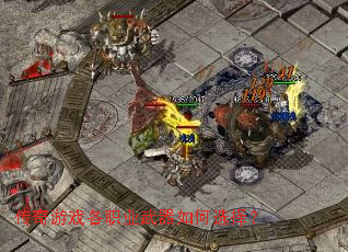 ������Ϸ��ְҵ�������ѡ��