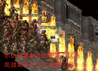 �������ְҵ��������Щ��Чˢ�ּ�������������