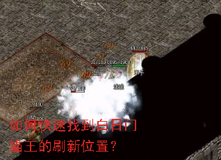 ��ο����ҵ�������è����ˢ��λ�ã�