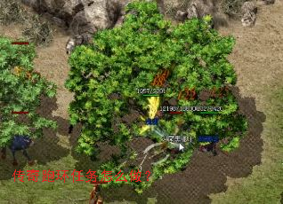 �����ܻ�������ô����