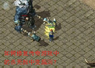 ����޸�������Ϸ�е�ɱ�����б�©����