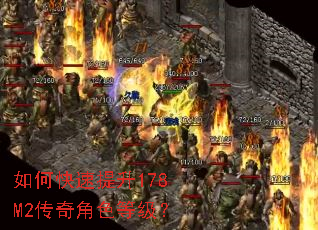 ��ο�������178M2�����ɫ�ȼ���