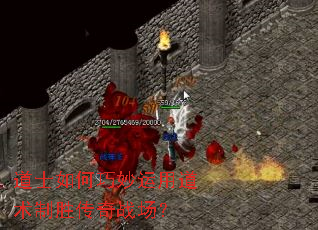 ��ʿ����������õ�����ʤ����ս����